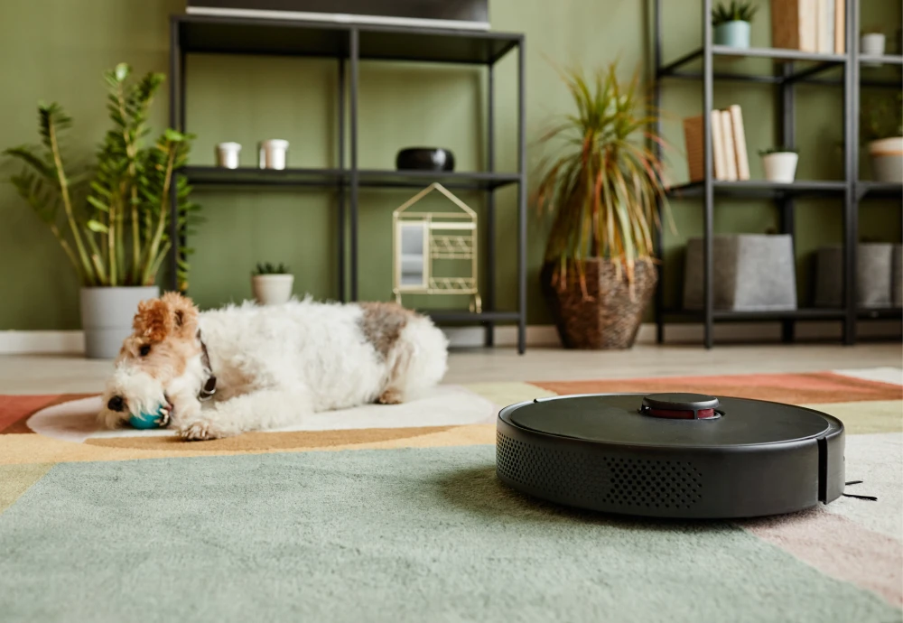 robot vacuum cleaner for small apartment